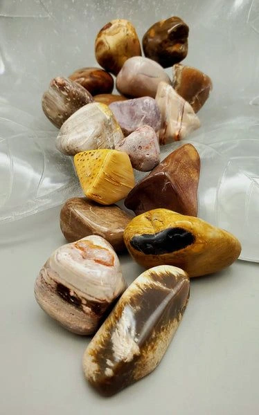Jenis Batu Kayu Fosil