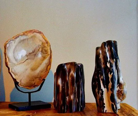 Jual Fosil Kayu
